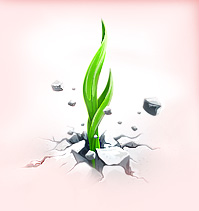 обработка семян